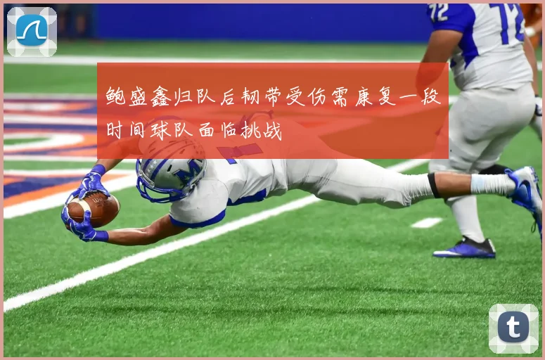 鲍盛鑫归队后韧带受伤需康复一段时间球队面临挑战