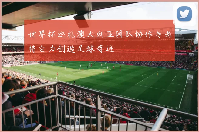 世界杯巡礼澳大利亚团队协作与老将合力创造足球奇迹