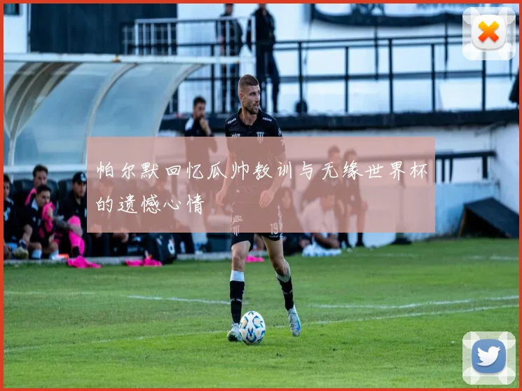帕尔默回忆瓜帅教训与无缘世界杯的遗憾心情